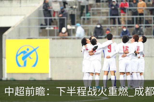 中超前瞻：下半程战火重燃 成都剑指三分申花求反弹